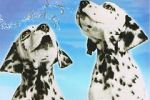 Watch 101 Dalmatians Sing Along 5movies