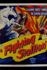 Watch The Fighting Stallion 5movies