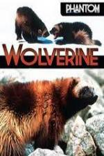 Watch National Geographic  Phantom Wolverine 5movies