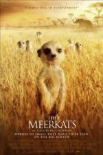 Watch The Meerkats 5movies