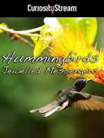 Watch Hummingbirds Jewelled Messengers 5movies