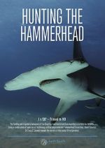 Watch Hunting the Hammerhead 5movies