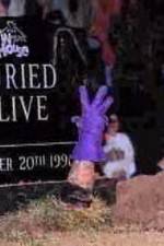 Watch WWF Buried Alive In Your House 5movies