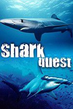 Watch Shark Quest 5movies