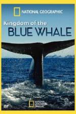 Watch National Geographic Kingdom of Blue Whale 5movies