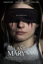 Watch The Last Thing Mary Saw 5movies