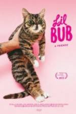 Watch Lil Bub & Friendz 5movies
