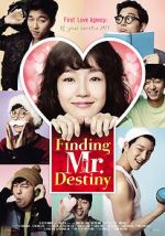 Watch Finding Mr. Destiny 5movies