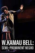 Watch W. Kamau Bell: Semi-Promenint Negro 5movies