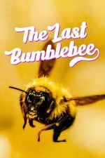 Watch The Last Bumblebee 5movies