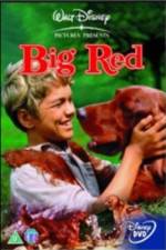 Watch Big Red 5movies