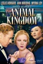 Watch The Animal Kingdom 5movies