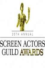 Watch The 20th Annual Screen Actors Guild Awards 5movies