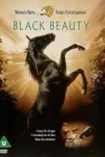 Watch Black Beauty 5movies