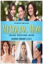 Watch Meddling Mom 5movies