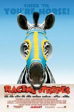 Watch Racing Stripes 5movies