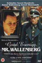 Watch Good Evening, Mr. Wallenberg 5movies