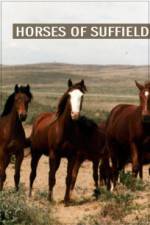 Watch Horses of Suffield 5movies