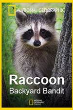 Watch Raccoon: Backyard Bandit 5movies