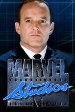 Watch Marvel One-Shot The Consultant 5movies