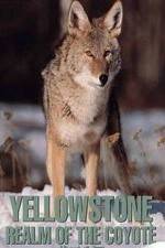 Watch Yellowstone: Realm of the Coyote 5movies