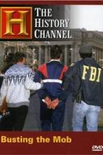 Watch The History Channel: Busting the Mob 5movies