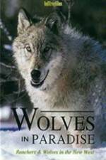 Watch Wolves in Paradise 5movies