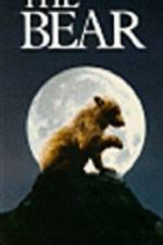 Watch The Bear - (L'ours) 5movies