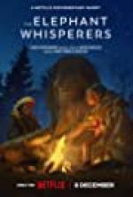 Watch The Elephant Whisperers 5movies