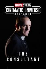 Watch Marvel One-Shot: The Consultant 5movies