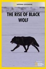 Watch The Rise of Black Wolf 5movies