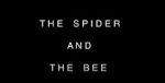 Watch The Spider and the Bee 5movies