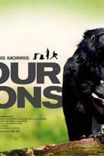 Watch Four Lions 5movies