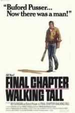 Watch Final Chapter Walking Tall 5movies