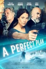 Watch A Perfect Plan 5movies