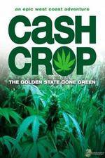 Watch Cash Crop 5movies