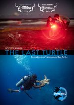 Watch The Last Turtle (Short 2019) 5movies