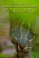 Watch Thailand's Wild Cats 5movies