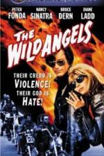 Watch The Wild Angels 5movies