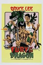 Watch Fury of the Dragon 5movies