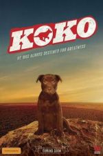 Watch Koko: A Red Dog Story 5movies