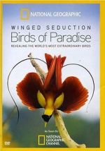 Watch Winged Seduction: Birds of Paradise 5movies