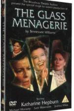 Watch The Glass Menagerie 5movies