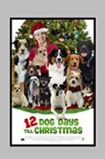 Watch 12 Dog Days Till Christmas 5movies