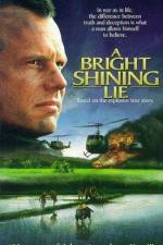 Watch A Bright Shining Lie 5movies
