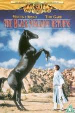 Watch The Black Stallion Returns 5movies