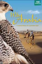 Watch Wild Arabia 5movies