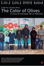 Watch The Color of Olives 5movies