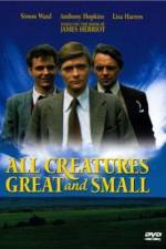 Watch All Creatures Great and Small 5movies