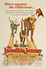 Watch The Incredible Journey 5movies